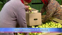 Experții prognozează o REDUCERE a produselor agricole în 2015