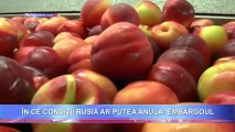 În ce condiții Rusia ar putea anula EMBARGOUL