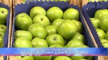 Producătorii agricoli, sufocați de povara situației economice