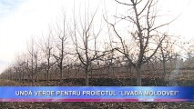 Undă verde pentru proiectul ”Livada Moldovei”