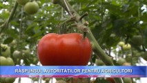 Răspunsul autorităților la protestele agricultorilor