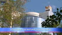 Veniturile din vânzările Gas Natural Fenosa la nivel mondial sunt în creștere, iar în Moldova în scădere