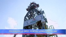 Prognozele OPEC pentru următorii 10 ani