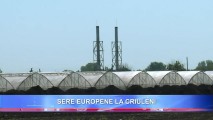 Moldova în pas cu Europa: Un legumicultor din Criuleni crește produse ecologice în sere anul împrejur