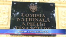 Legislativul a adoptat bugetul CNPF pentru 2015