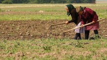 Noi promisiuni pentru agricultori