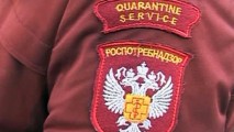 Делегация Роспотребнадзора приезжает в Молдову