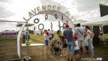 Lavender Fest - Primul festival dedicat frumuseții și sănătății în natură