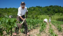 Agricultorii nu mai cred în promisiuni