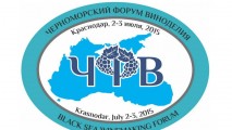 Гагаузия – рекордсмен по посадкам винограда в Восточной и Центральной Европе