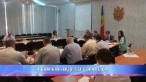 Fermierii, duși cu fofârlica