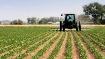 Proiectele de legi cu privire la sectorul agricol, avizate la Comisia parlamentara pentru agricultură