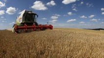 Veste bună pentru fermieri: a fost lansat programul IFAD