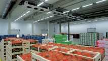 В Московской области строится холодильный комплекс для сельхозпродукции из Гагаузии