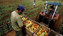 Что нужно сделать фермерам для получения разрешений на импорт дизтоплива?