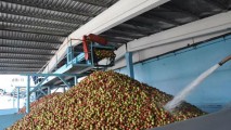 Volumul produselor industriale fabricate în Moldova