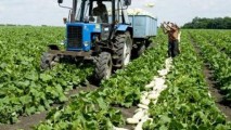 DOC. Scrisoare deschisă a agricultorilor: Ne așteaptă un an dificil și secetos