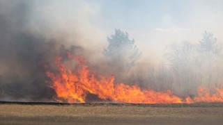 Пожар на юге Молдовы: огонь на полях едва не поджег склады