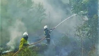 За последние 24 часа в Молдове зарегистрировано 64 пожара