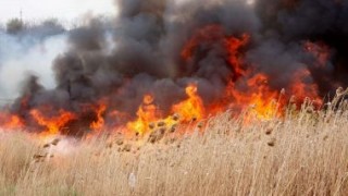 Incendii de vegetație. Prejudiciul este major