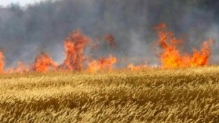 Incendiile continuă să mistuie hectarele de vegetație